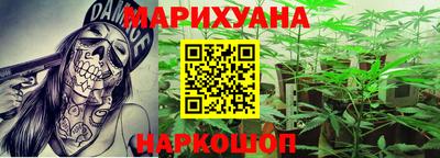 гашик Краснознаменск
